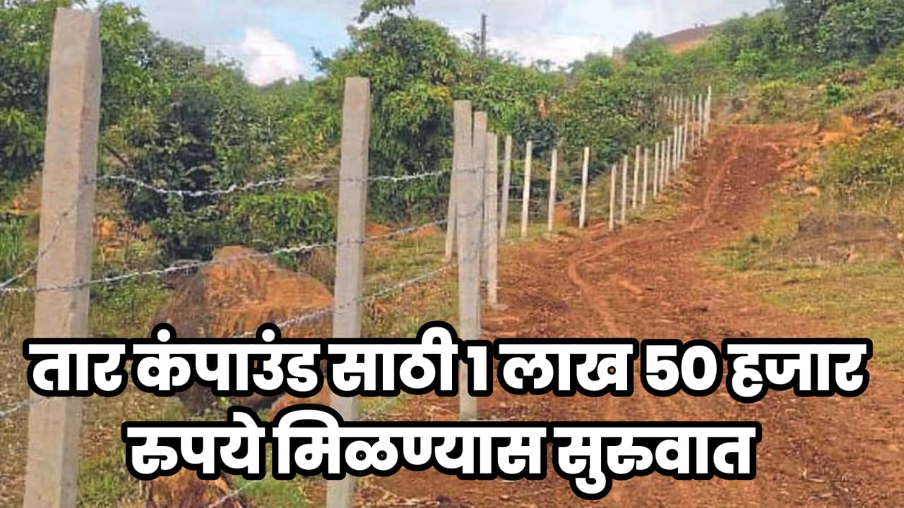 Rural Business Opportunity